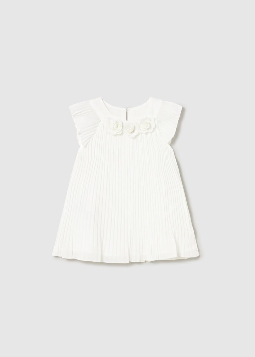Dress Pleated Floral